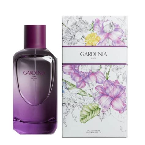 golden gardenia eau de parfum|zara gardenia eau de parfum.